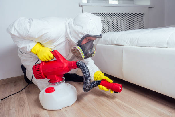 Best Pest Exclusion Services  in Colorado City, AZ